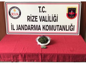 Rize’de kaçakçılara geçit yok