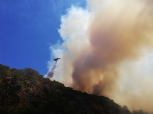Kumluca’daki orman yangını