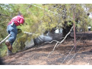 GÜNCELLEME - Kütahya'da orman yangını