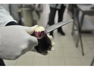 Kurutmalık patlıcandan çıkan lezzet: Mıcırık aşı