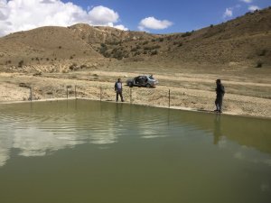 Erzurum'daki kayıp anne aranıyor
