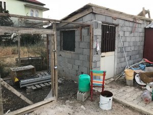 Konya güvercin hırsızlığı iddiası