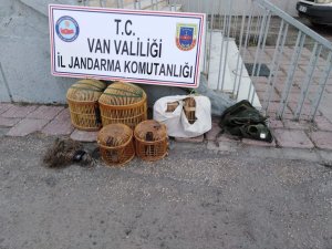 Van Dkmp’den keklik avcısına ceza