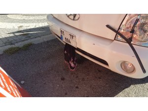 Plaka üstündeki siyah yazma hırsızları kurtaramadı