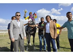 Safkan atlar Mahmudiye’de piste çıktı
