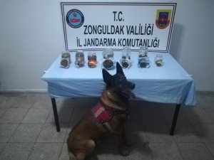 Kavanozlara gömülü esrar yakalandı