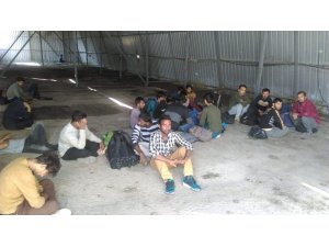 Van’da 48 kaçak göçmen yakalandı