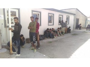 Van'da 48 düzensiz göçmen yakalandı