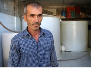 Sahte EFT talimatı fotoğrafıyla 27 ton zeytinini kaybetti