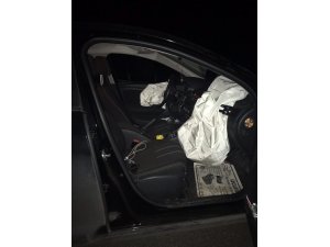 Otomobilin çarptığı ayı telef oldu