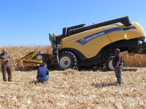 Biçerdöverle hasat yaparken obruk oluştu