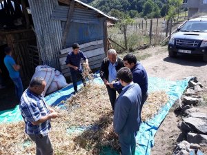 Tescilli organik fasulyenin kilosu 25 lira