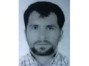 Ceviz ağacından düşen inşaat işçisi öldü