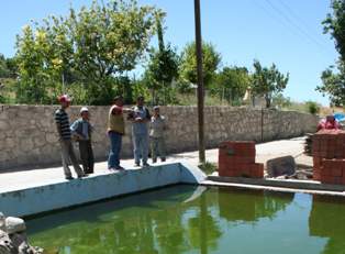 Nesli tükenmekte olan balıkları yetiştiriyor