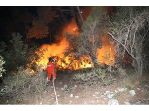 GÜNCELLEME - Antalya'da orman yangını