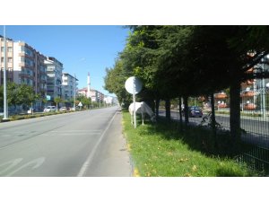 Otoyoldaki başıboş at, polisi alarma geçirdi