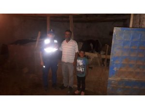 Çalındı şüphesiyle aranan hayvanları jandarma dağda buldu