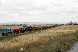 Ereğli TMO'nun toplam alımı üçte bire düştü