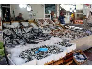 Karadeniz'de tezgahlar balık çeşitleriyle doldu