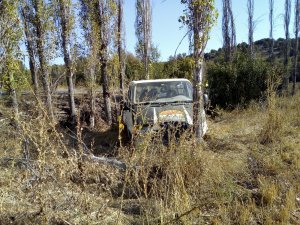 Beyşehir'de minibüs ağaçlara çarptı: 3 yaralı