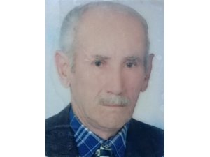 Ağaç budarken kalp krizi geçiren yaşlı adam hayatını kaybetti