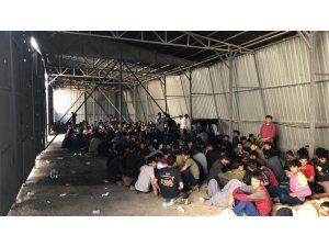 Van’da 301 kaçak göçmen yakalandı
