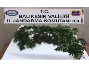 Jandarma uyuşturucu tacirlerine göz açtırmıyor