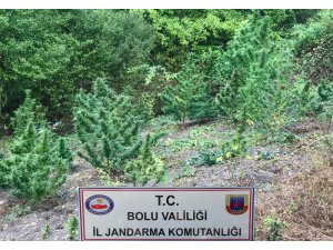 Bolu’da uyuşturucu operasyonu: 6 gözaltı