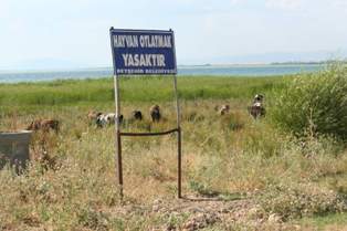 Belediye levhaları işe yaramadı