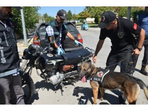 Okul önünde motosiklete zulananan esrarı, narkotik köpeği buldu