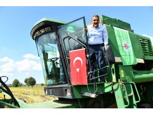 Protokol biçerdöverle çeltik hasadı yaptı