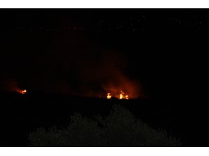 Yüksek gelirim hatlarından çıkan yangında alevler geceyi aydınlattı