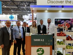 Bursa inciri Uzakdoğu pazarında