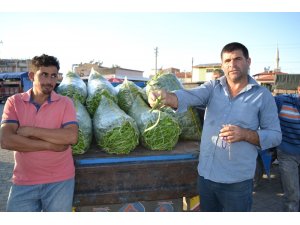 Fasulye üreticisinin bu kez yüzü güldü