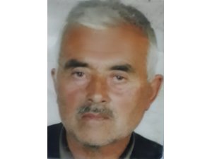 Ağaçtan düşen yaşlı adam hayatını kaybetti