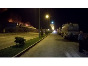 Aydın’da fabrika yangını
