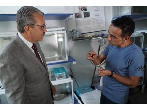 Yılan zehrinden ilaç yapımına ışık tutacak çalışmalar