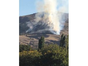 Kaman’da orman yangını