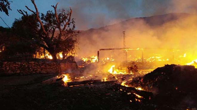 Kastamonu'daki yangın