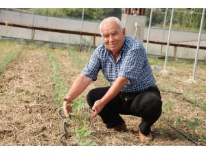 Karaisalı’da seracılıkta farkındalık sağlandı