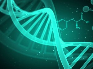 Tüketilen gıdanın DNA'ya "net" etkileri tespit edildi