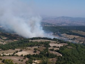 Zirai alanda başlayan yangın ormana sıçradı
