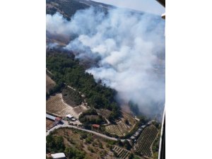 - Balıkesir'de orman yangını