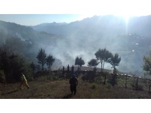 Adana’da orman yangını