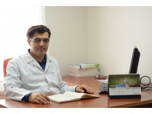 Düzce'de tamamlayıcı tıp uygulamaları