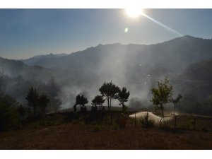 Adana’da yangında 2 hektarlık orman zarar gördü