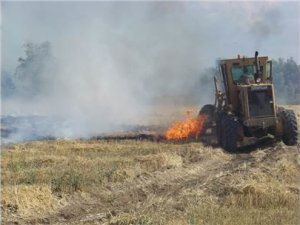 Seydişehir’de anız yangını