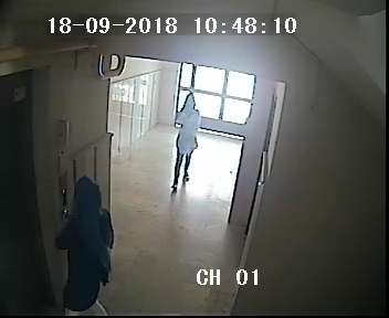 3 aylık hamile kadın hırsızlıktan tutuklandı