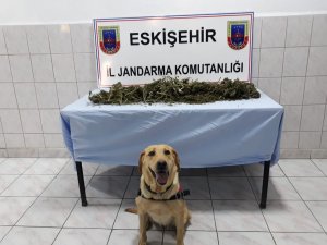 Uyuşturucu imal edilen barakaya baskın