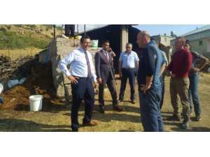 Siirt pekmezi için tescil çalışmaları başlatıldı